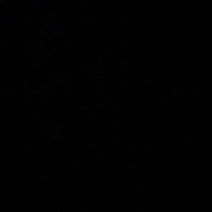 Meet your Posher, Fred